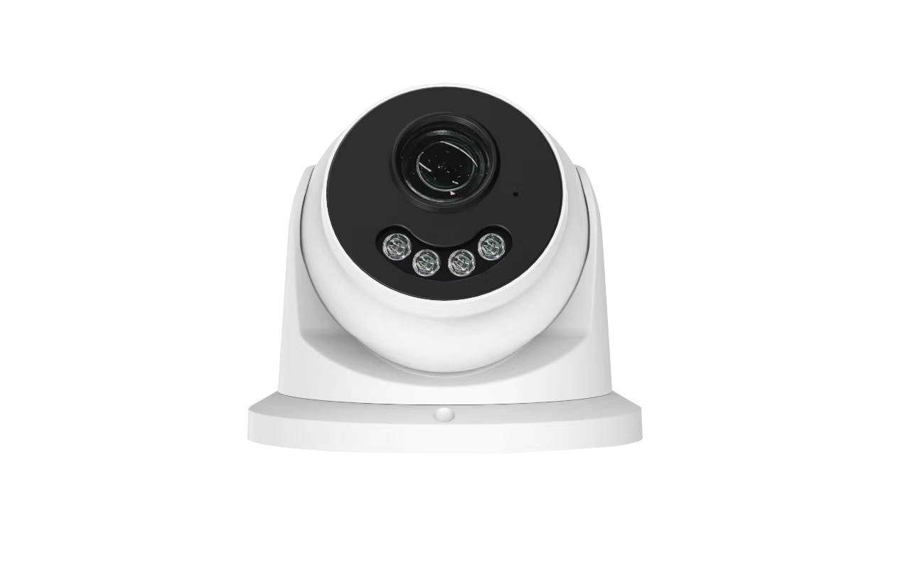 NexPro 4MP dome IP camera